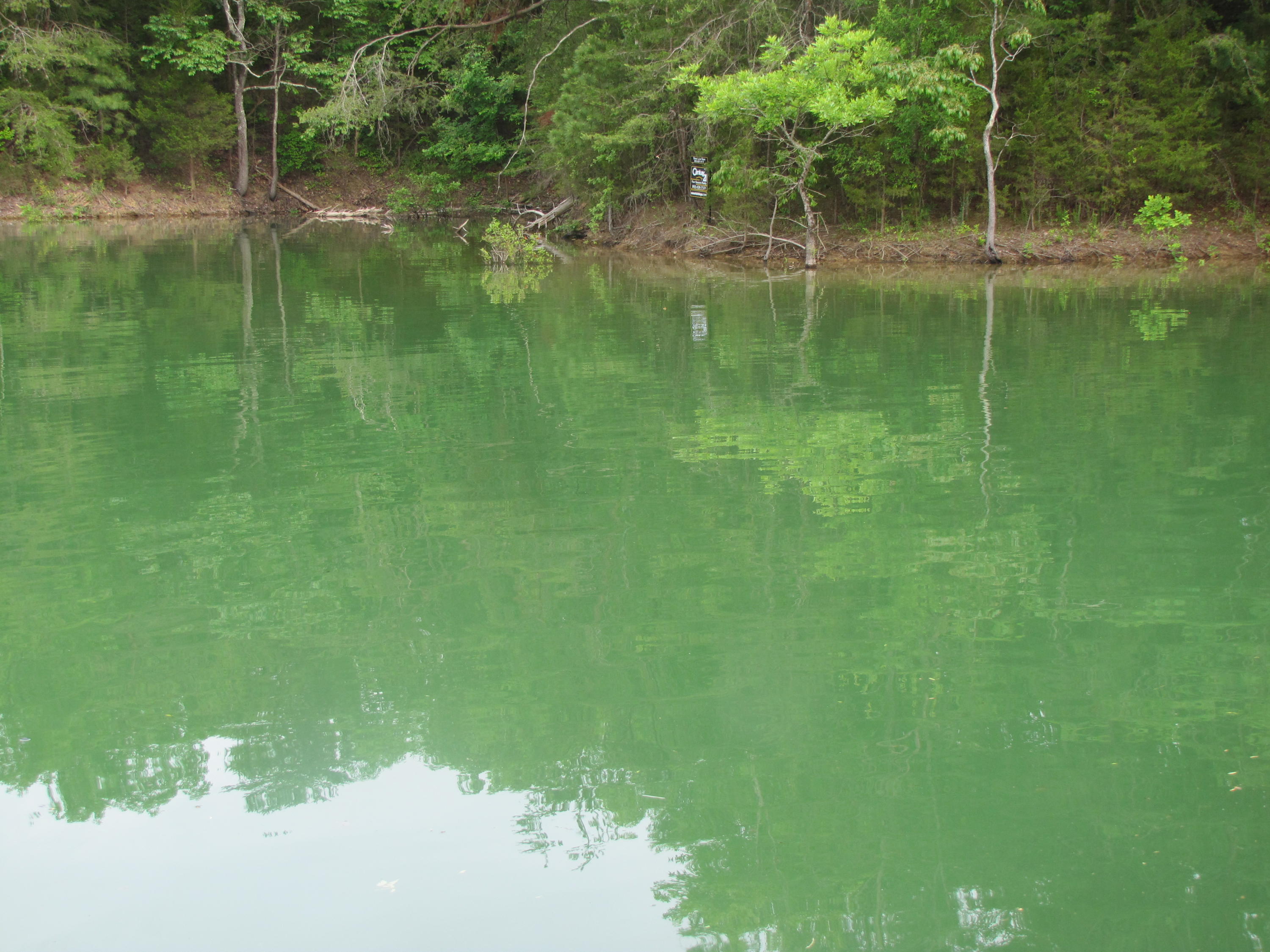 Lot 1 Redbud View Road Sevierville, TN 37876 - Photo 18 of 25 IMG_2792