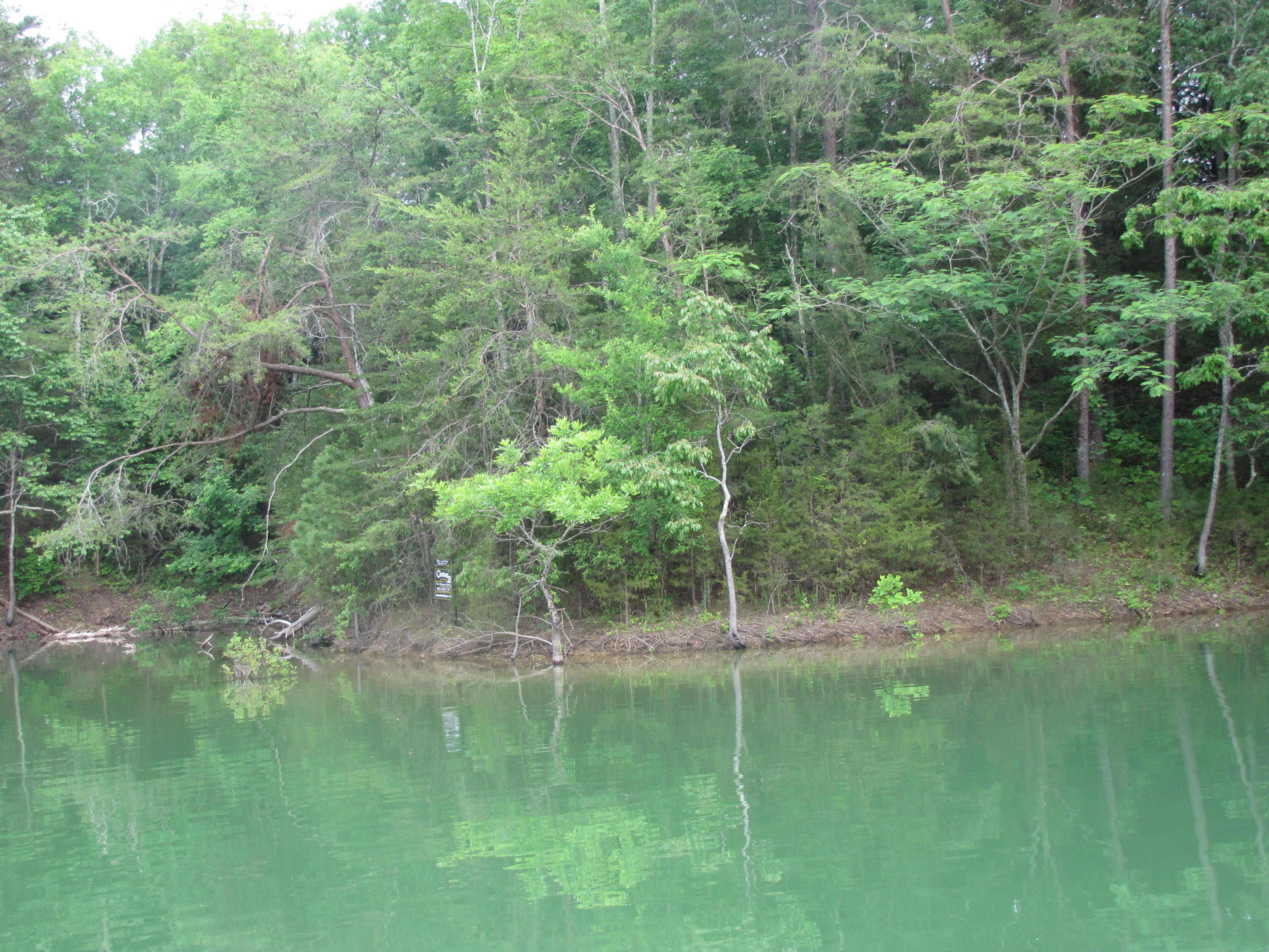 Lot 1 Redbud View Road Sevierville, TN 37876 - Photo 19 of 25 IMG_2793