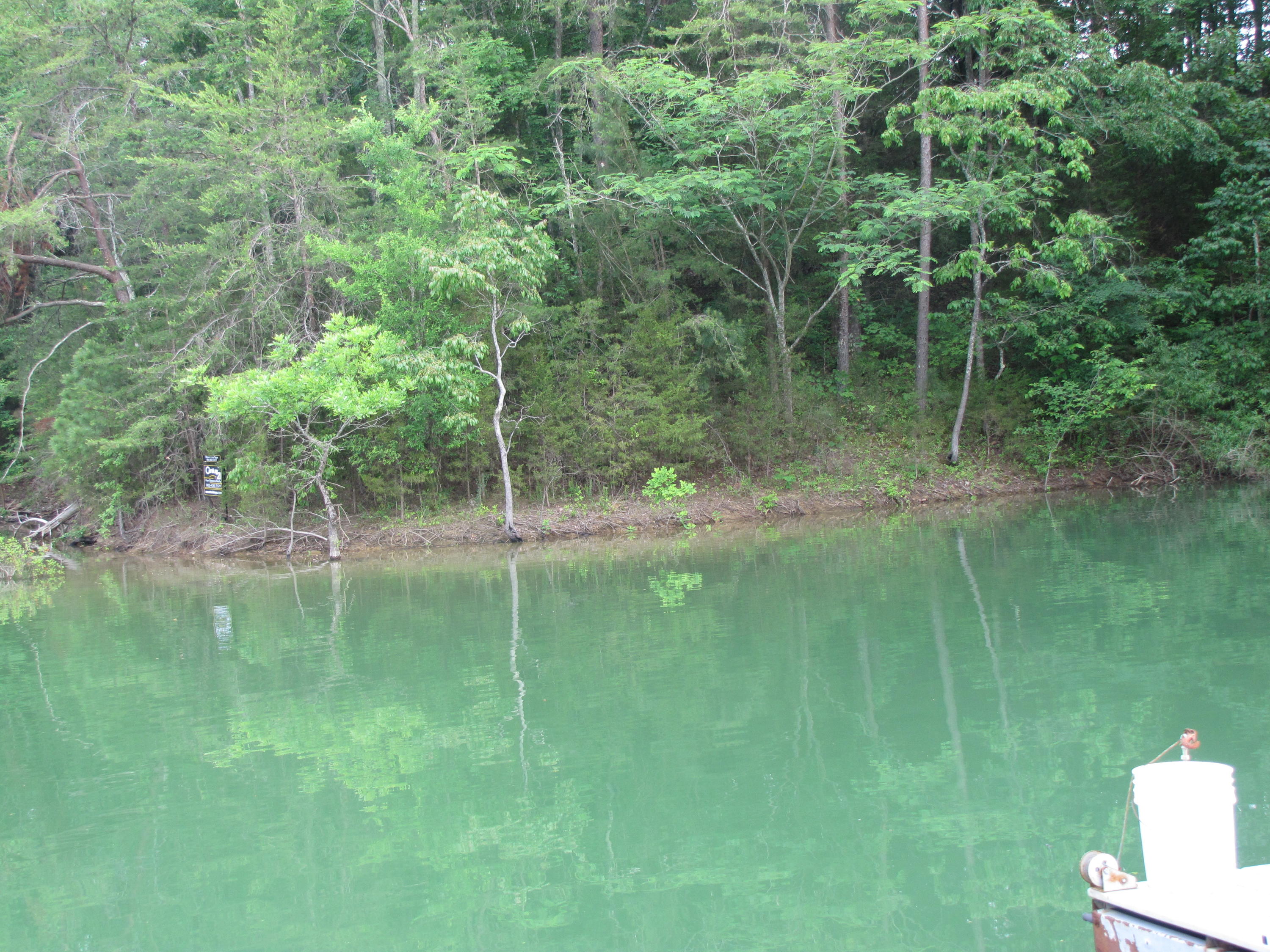 Lot 1 Redbud View Road Sevierville, TN 37876 - Photo 20 of 25 IMG_2794