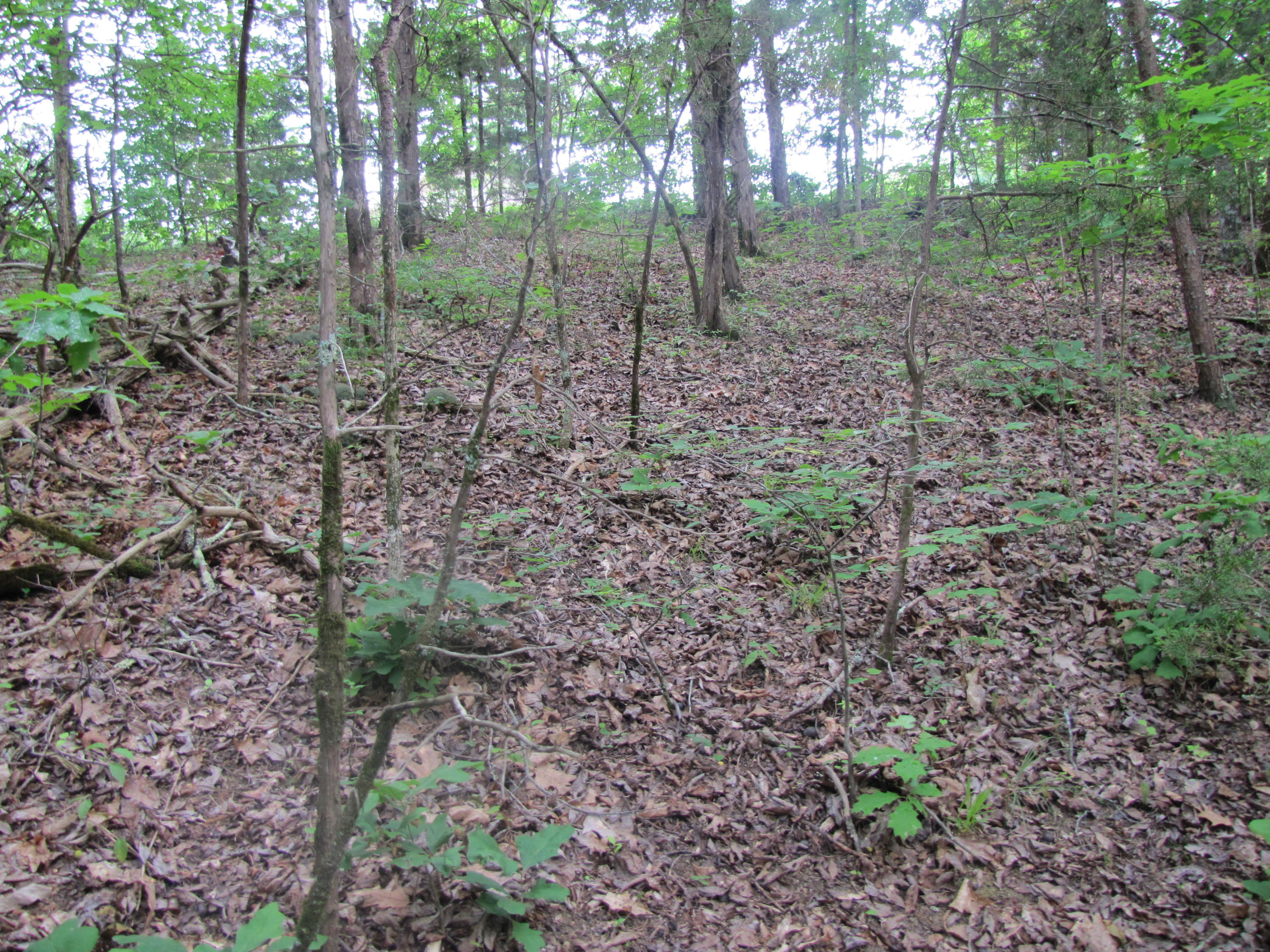 Lot 1 Redbud View Road Sevierville, TN 37876 - Photo 3 of 25 IMG_2787