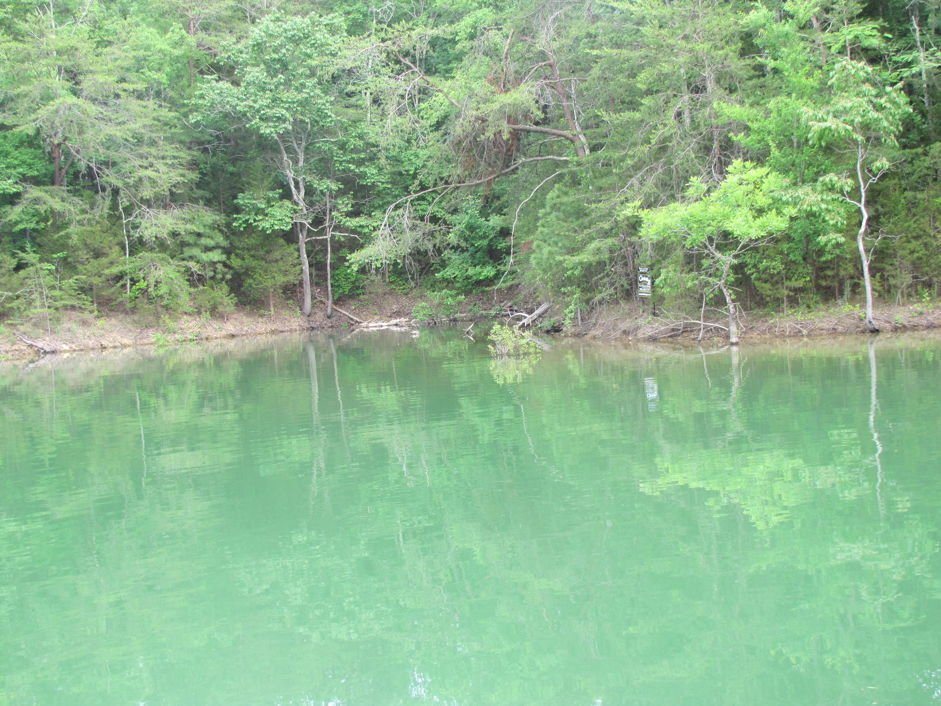 Lot 1 Redbud View Road Sevierville, TN 37876 - Photo 21 of 25 IMG_2795