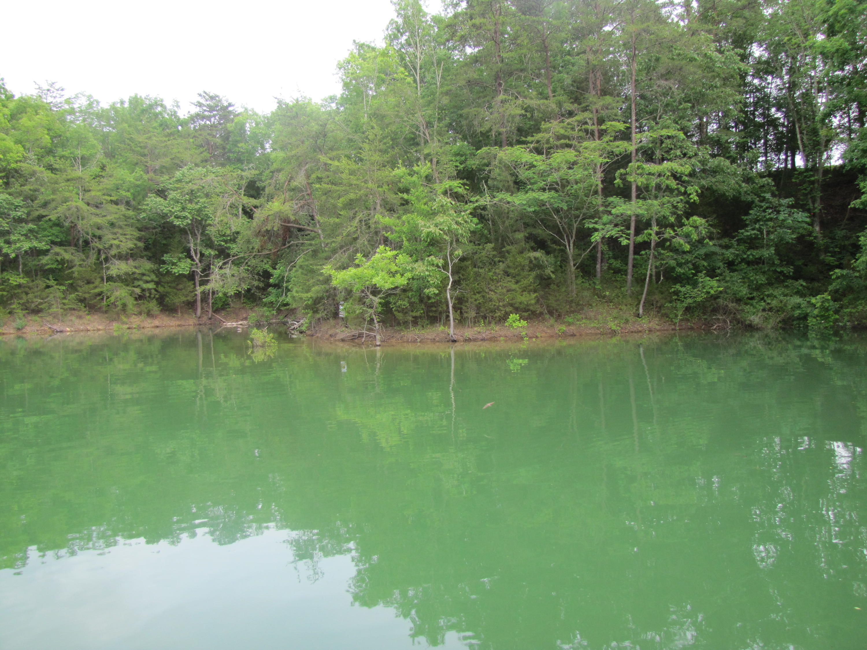 Lot 1 Redbud View Road Sevierville, TN 37876 - Photo 4 of 25 IMG_2797
