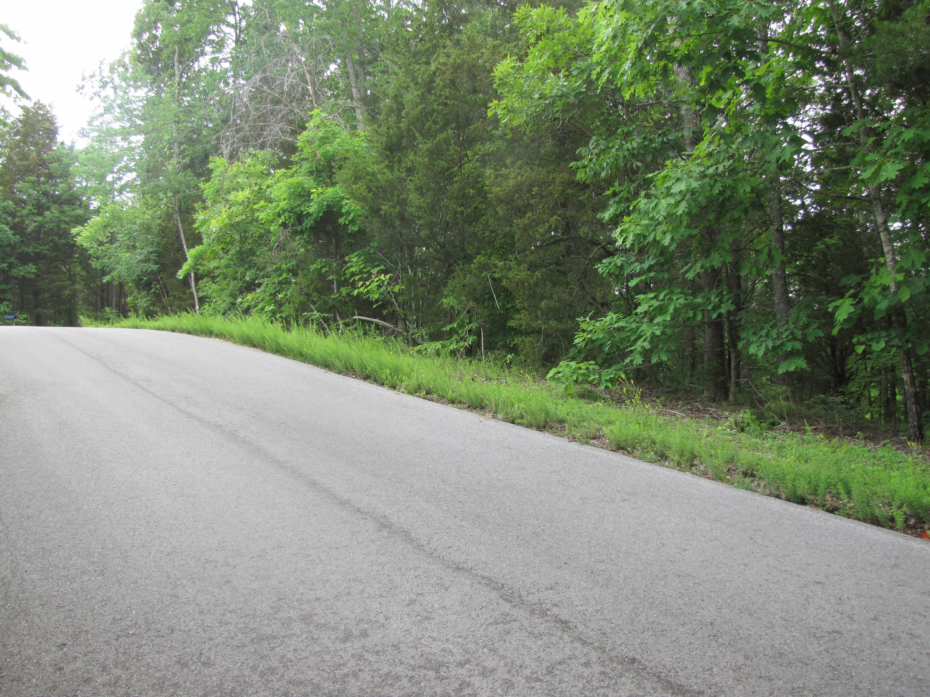 Lot 1 Redbud View Road Sevierville, TN 37876 - Photo 5 of 25 IMG_2775