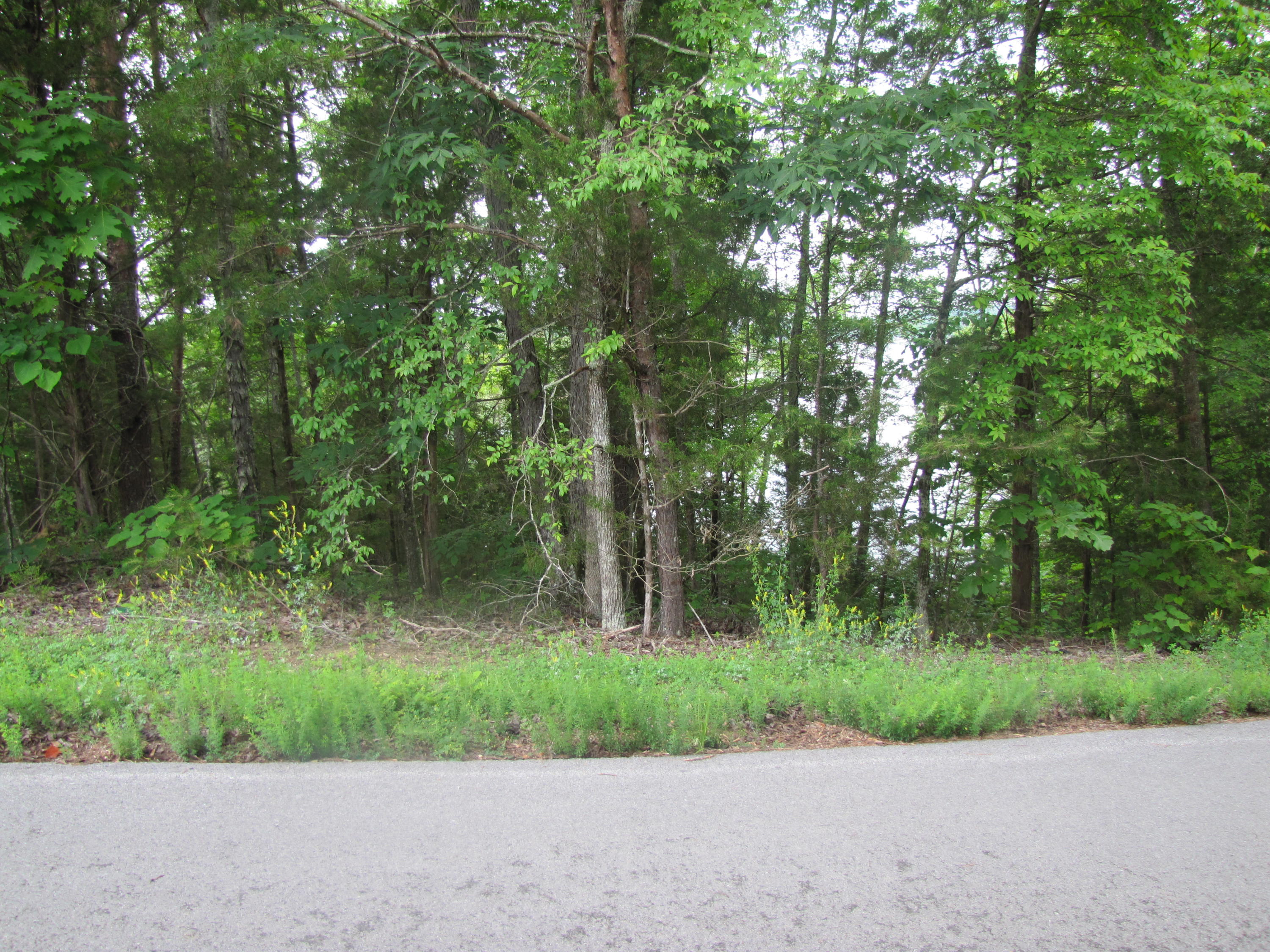 Lot 1 Redbud View Road Sevierville, TN 37876 - Photo 6 of 25 IMG_2776