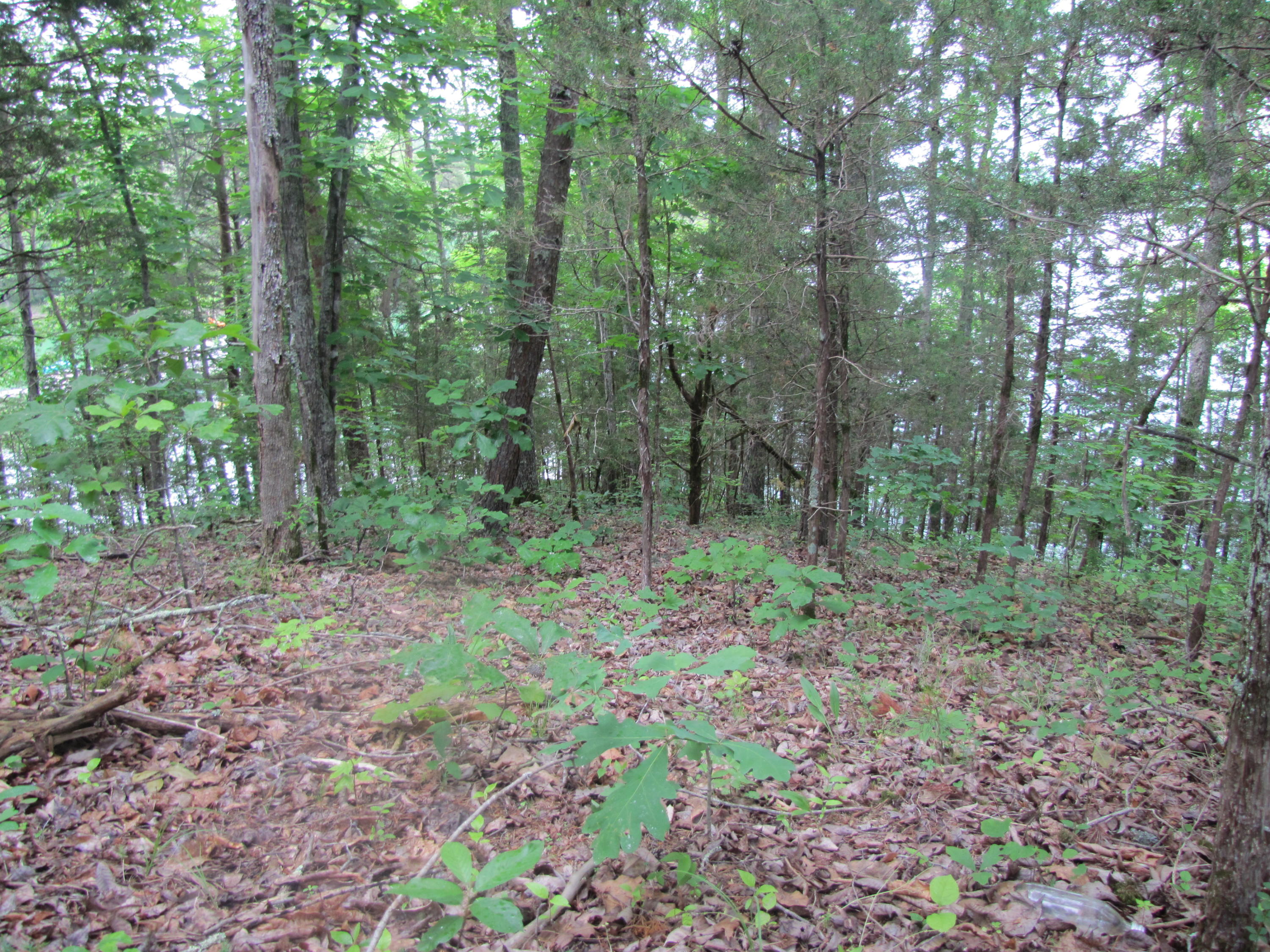 Lot 1 Redbud View Road Sevierville, TN 37876 - Photo 7 of 25 IMG_2777