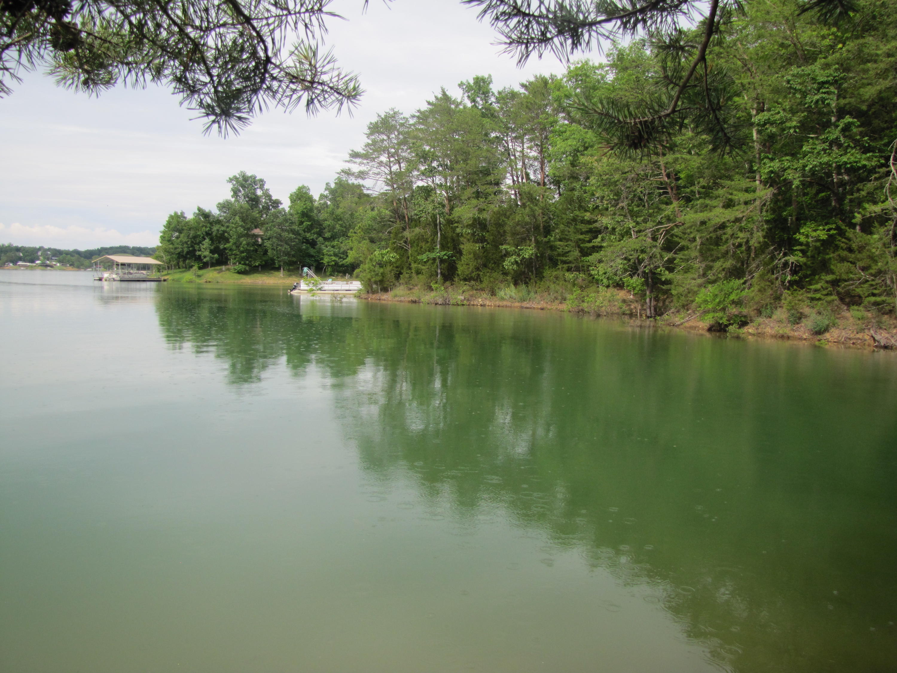 Lot 1 Redbud View Road Sevierville, TN 37876 - Photo 10 of 25 IMG_2781