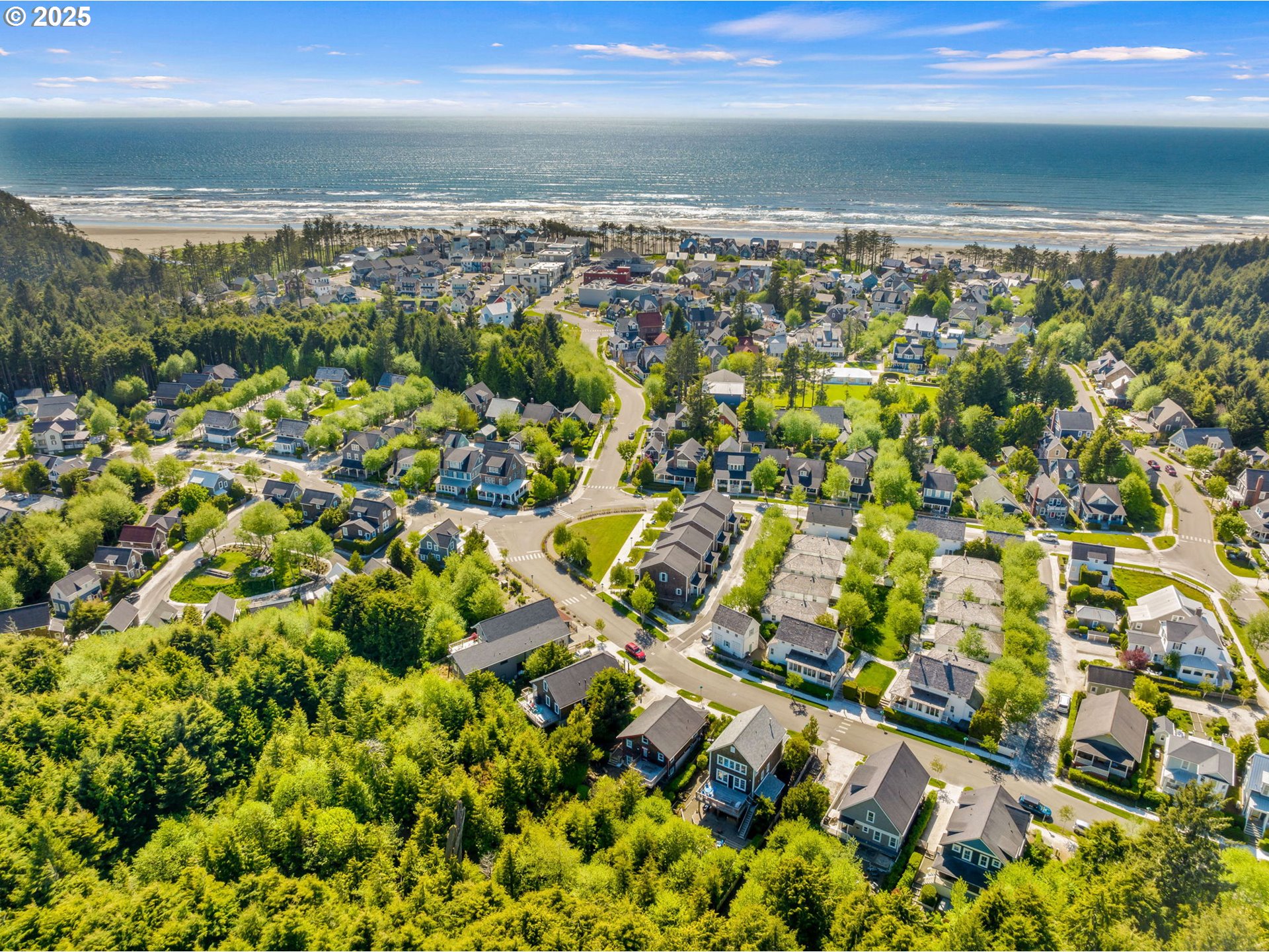 81 Compass Street Pacific Beach, WA 98571 - Photo 37 of 47 a view of an ocean