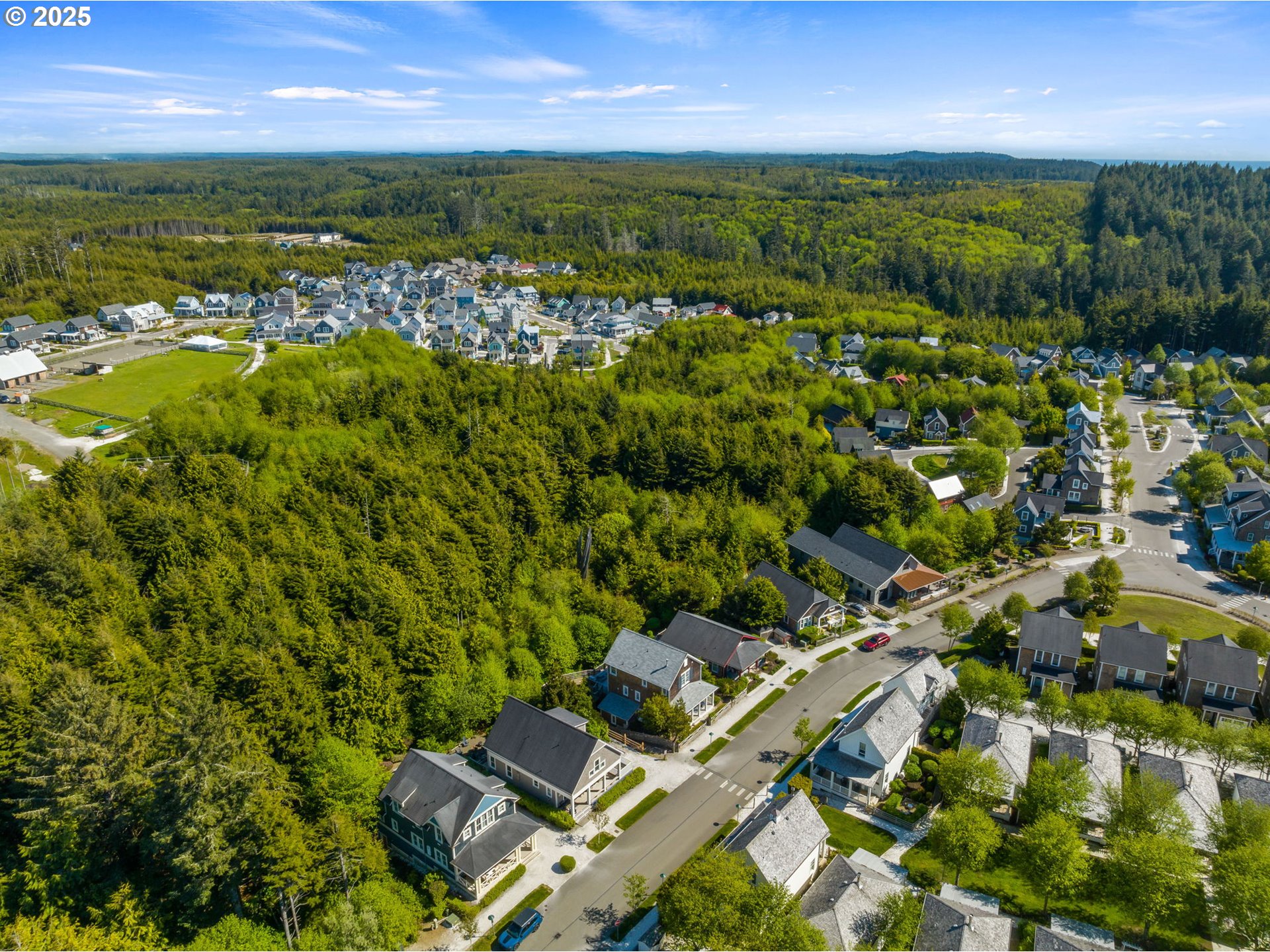 81 Compass Street Pacific Beach, WA 98571 - Photo 42 of 47 an aerial view of residential houses with outdoor space and trees
