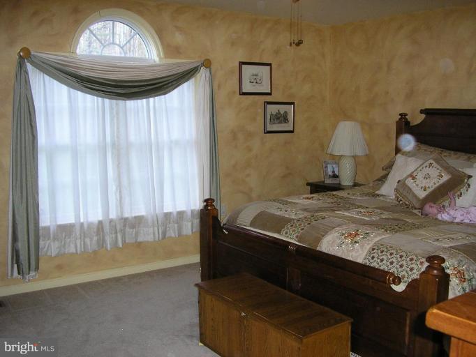 7501 Scotts Farm Road Spotsylvania, VA 22553 - Photo 14 of 23 Spacious master bedroom suite, great window!