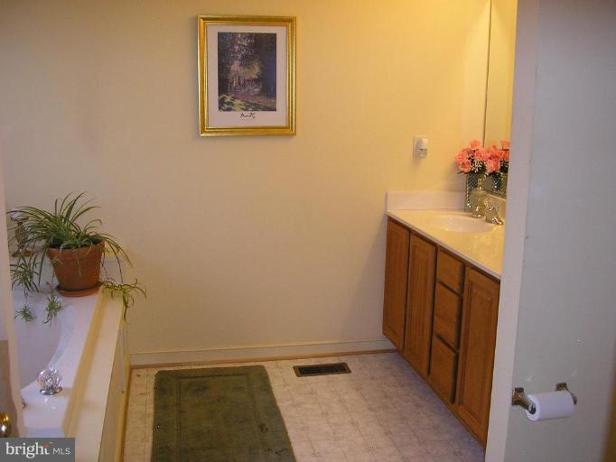 7501 Scotts Farm Road Spotsylvania, VA 22553 - Photo 15 of 23 Deluxe master bath jetted tub double sinks, shower