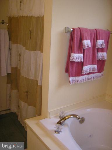 7501 Scotts Farm Road Spotsylvania, VA 22553 - Photo 16 of 23 Master bath shower and jetted tub