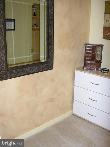 7501 Scotts Farm Road Spotsylvania, VA 22553 - Photo 17 of 23 Dressing area across from master bd walk-in closet