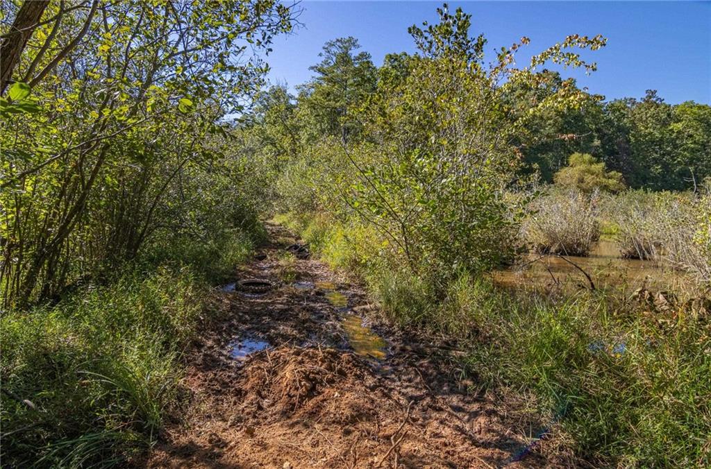 8995 Gullatt Road Palmetto, GA 30268 - Photo 83 of 91 Gallery Image 83
