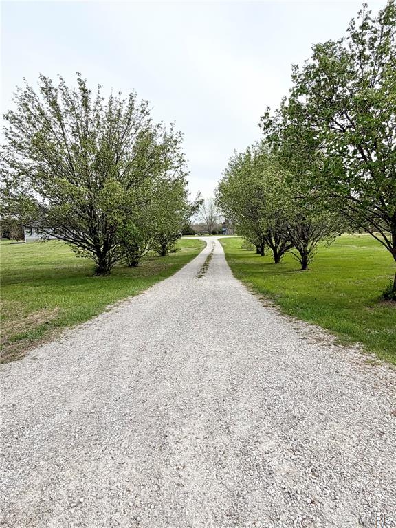5029 Sportsman Road Waterloo, IL 62298 - Photo 4 of 24