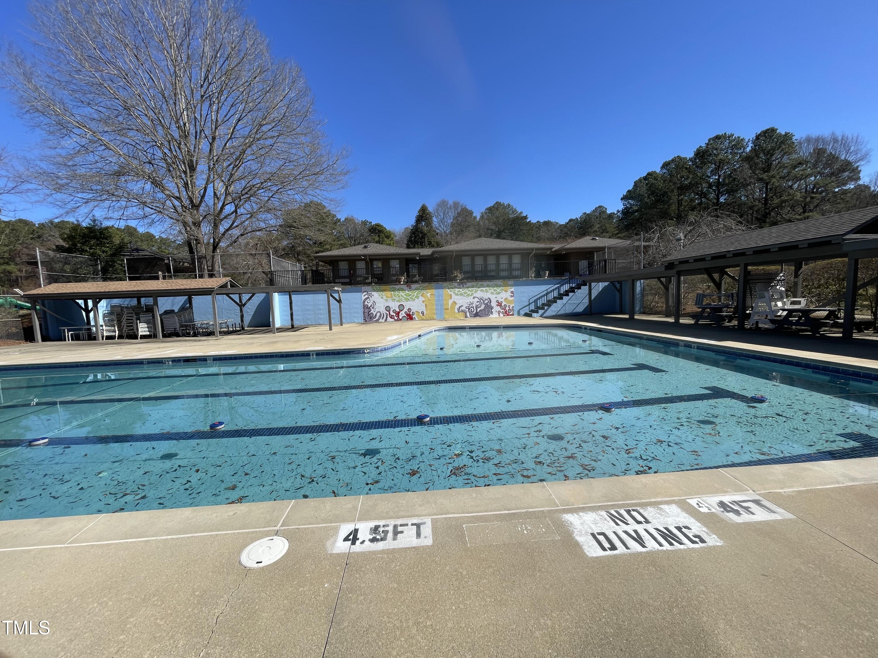 3306 Whitfield Road Chapel Hill, NC 27514 - Photo 41 of 57 Community Pool 3