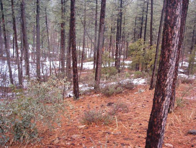 14 High Valley Ranch Road, Unit 14 Prescott, AZ 86303 - Photo 1 of 1 Primary Photo