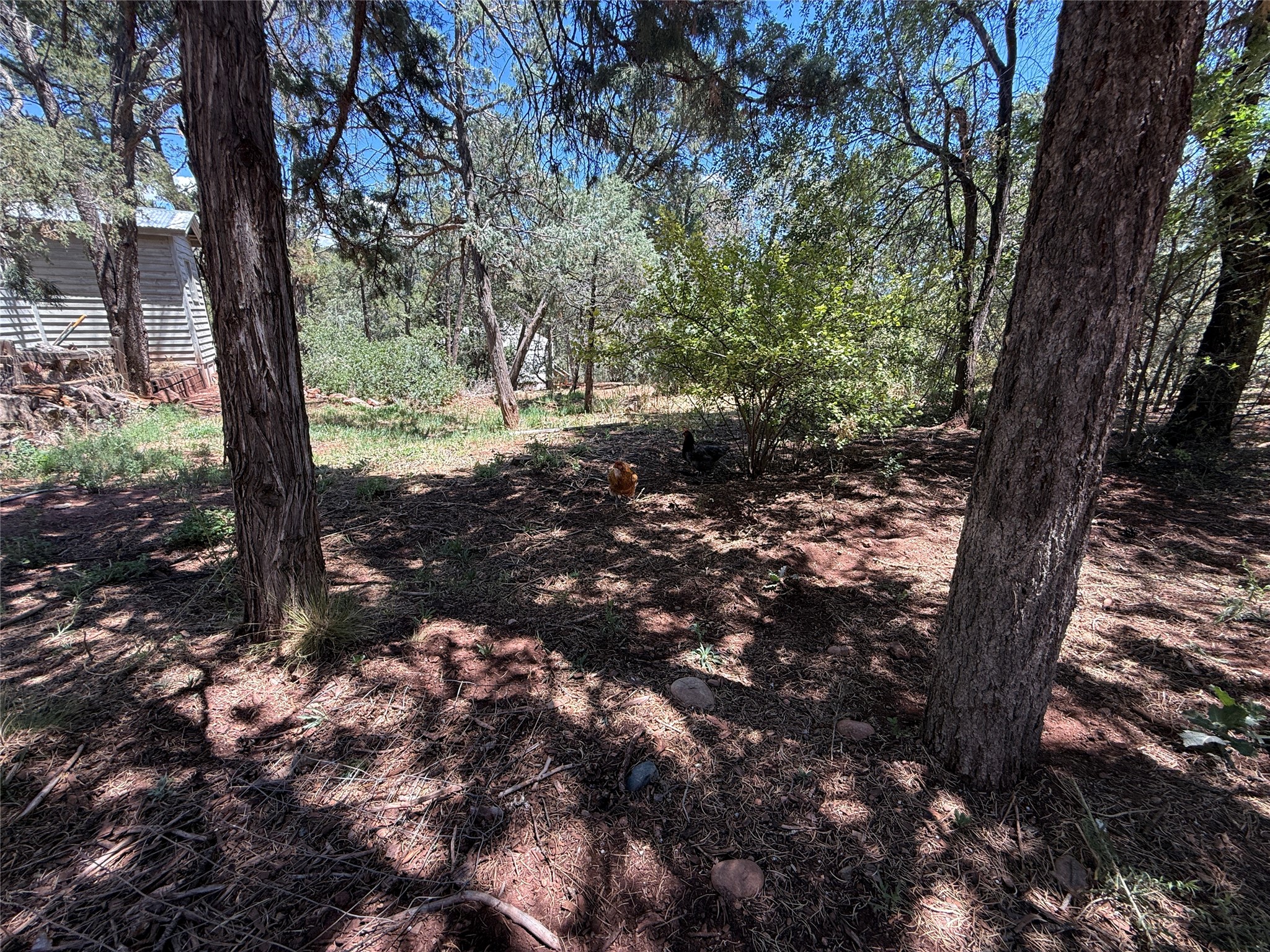 7 Log House Road Glorieta, NM 87535 - Photo 46 of 74 Gallery Image 46