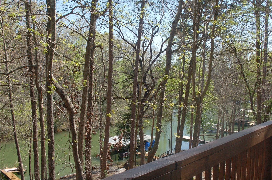 253 Capps Road Fair Play, SC 29643 - Photo 17 of 28 Gallery Image 17
