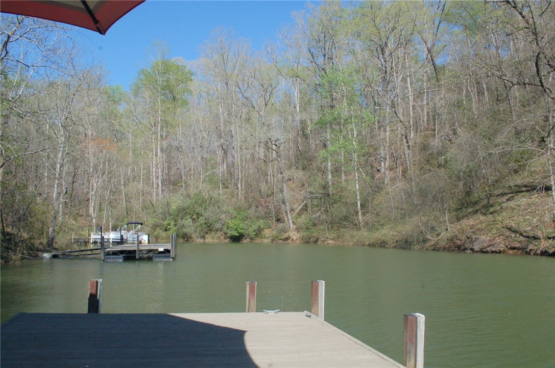 253 Capps Road Fair Play, SC 29643 - Photo 21 of 28 Gallery Image 21