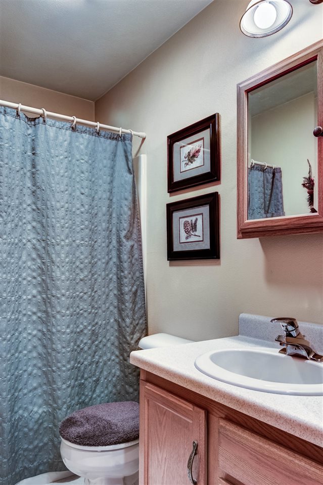 15232 Kelley Road Pecatonica, IL 61063 - Photo 16 of 24 a bathroom with a sink a toilet and a mirror