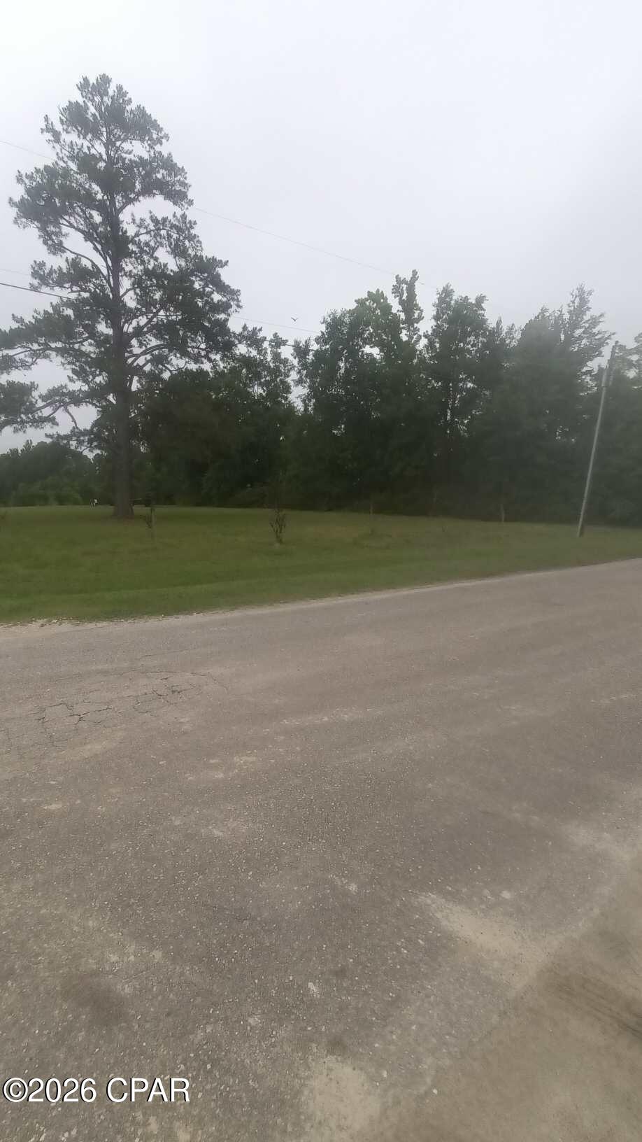 365 Jehu Road Wewahitchka, FL 32465 - Photo 7 of 29