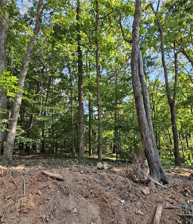 7619 Yukon Road Talking Rock, GA 30175 - Photo 24 of 32 Gallery Image 24