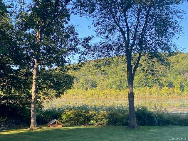 Lily Lake Road Highland, NY 12528 - Photo 17 of 30 View of green lawn with a water view and a wooded view