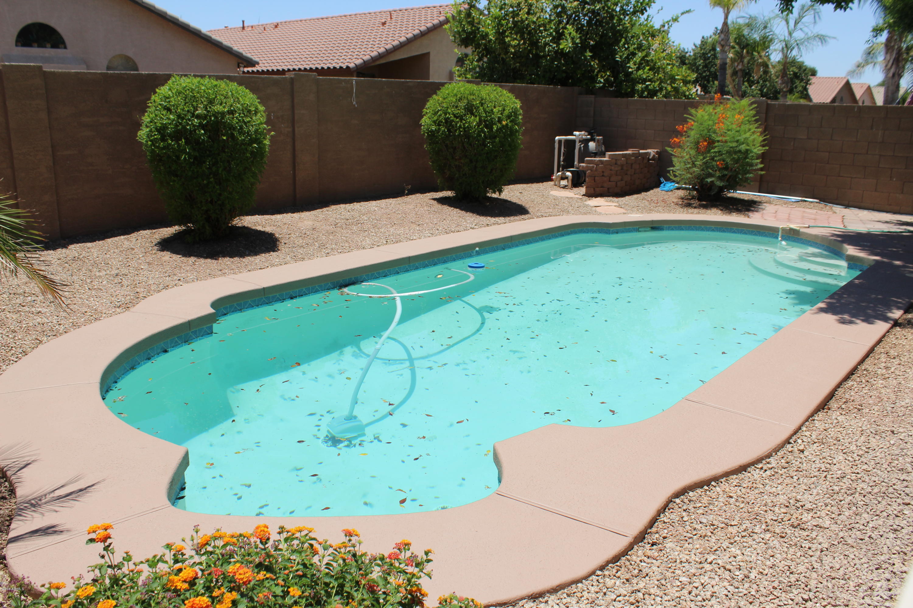 653 East Kyle Drive Gilbert, AZ 85296 - Photo 30 of 30 IMG_1533