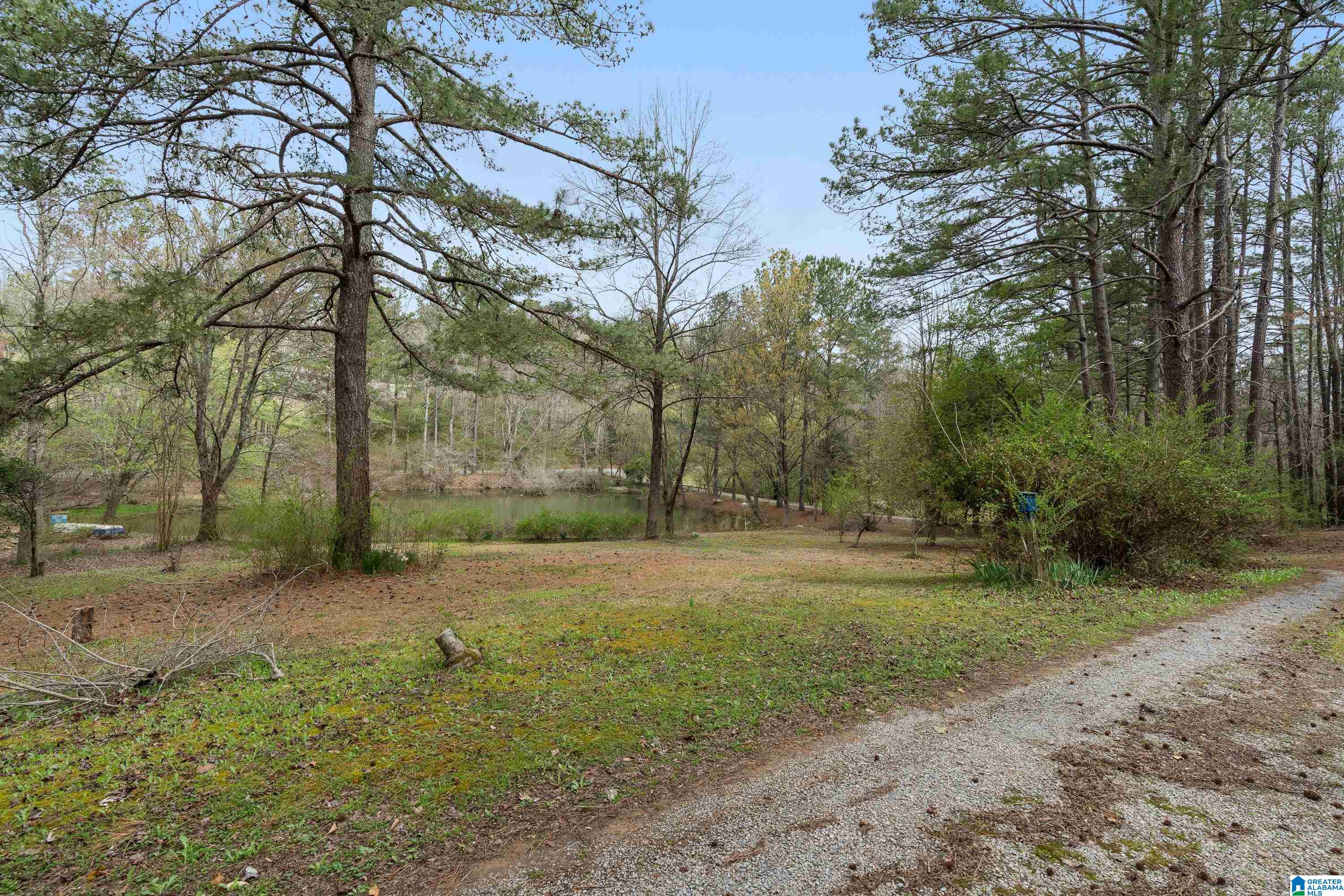 3400 Cherokee Road Pell City, AL 35128 - Photo 36 of 39