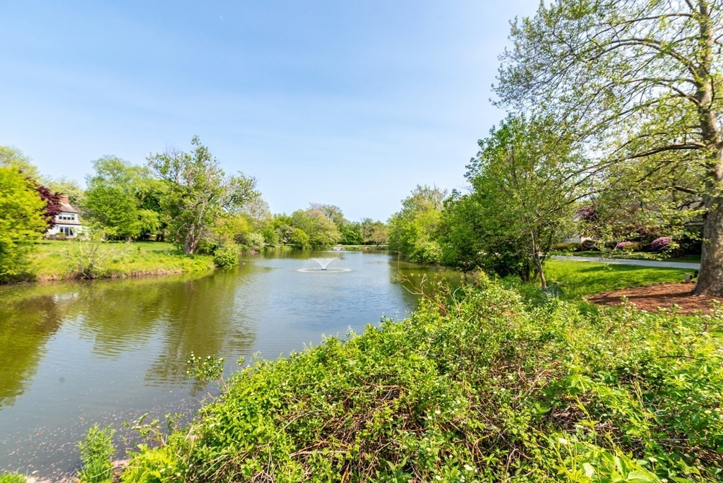 1 Potter Pond, Unit 1 Lexington, MA 02421 - Photo 25 of 30
