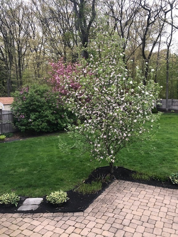 23 Hanford Road Stoneham, MA 02180 - Photo 34 of 35 Gallery Image 34