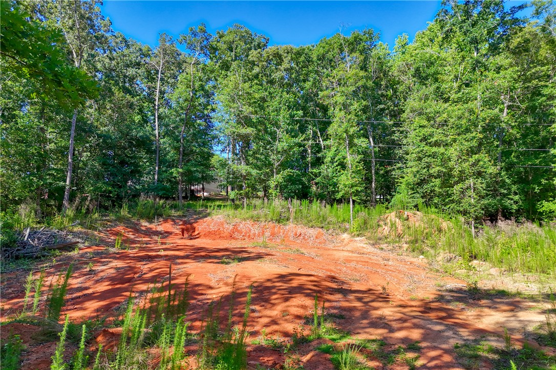 1020 Green Willow Trail Anderson, SC 29621 - Photo 4 of 28 A spacious, cleared lot with mature trees offers a pristine setting for your dream home.