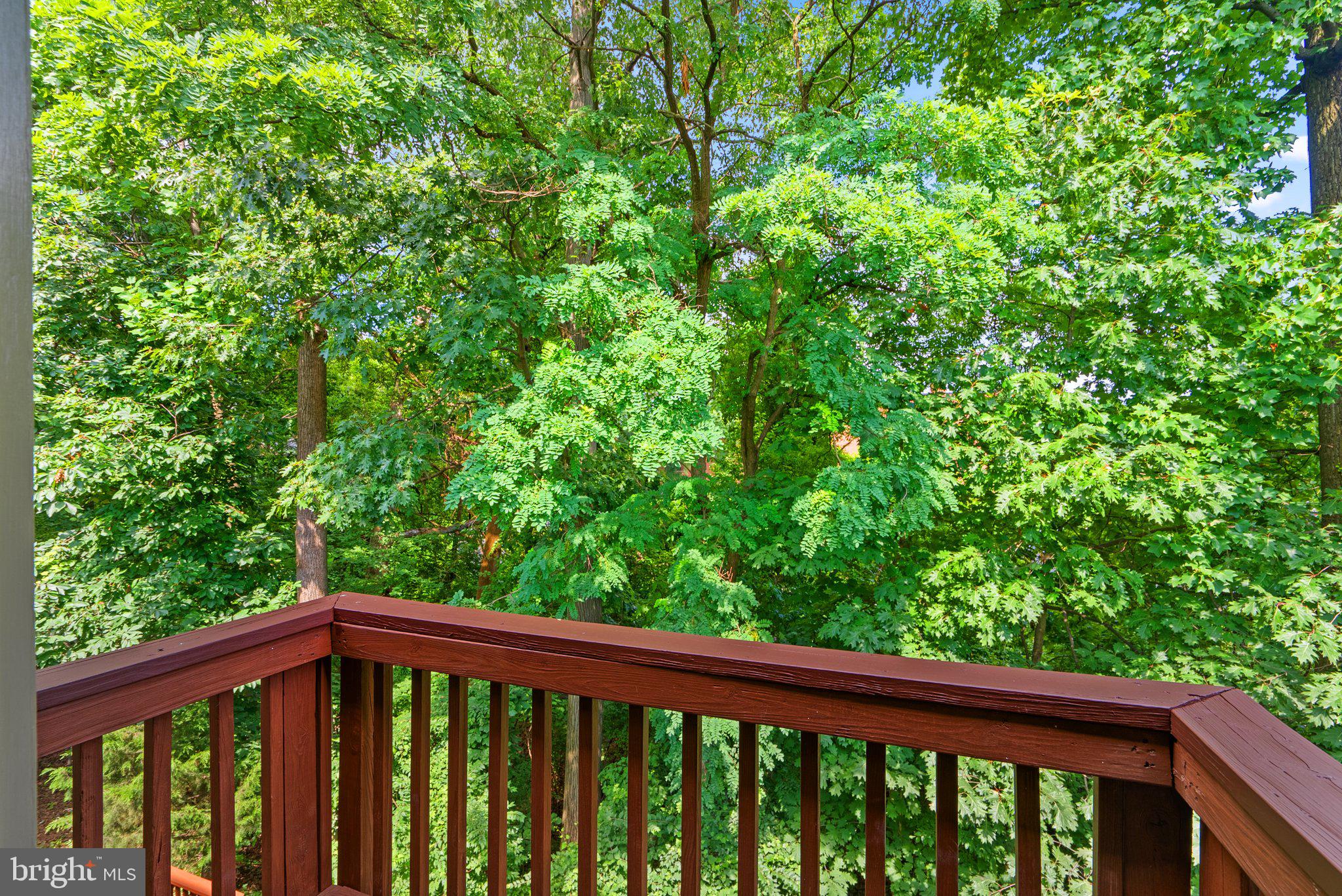 2607 Chivalry Court Silver Spring, MD 20902 - Photo 34 of 38 Upper second balcony