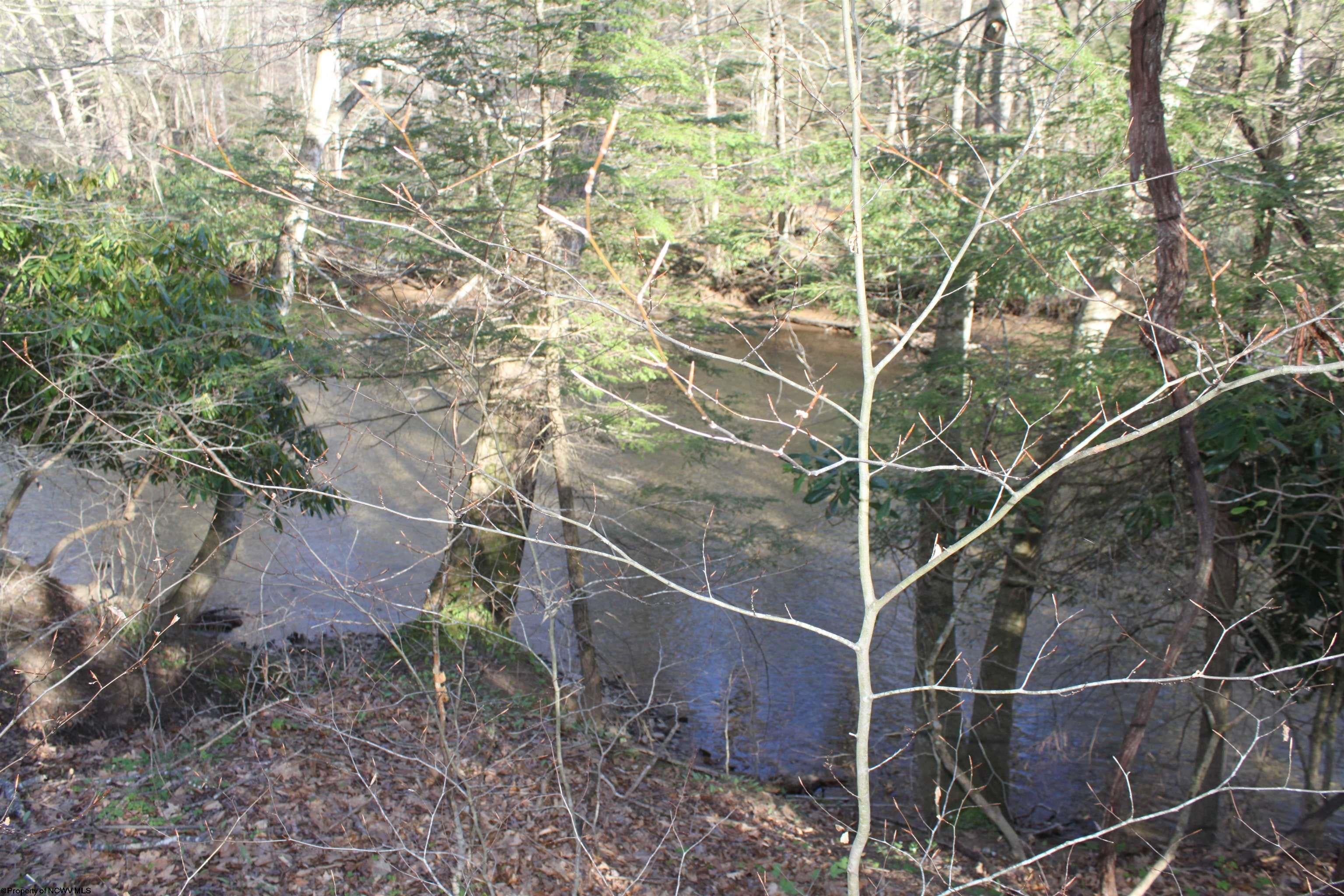 1625 Gauley River Road Webster Springs, WV 26288 - Photo 16 of 23 Gallery Image 16