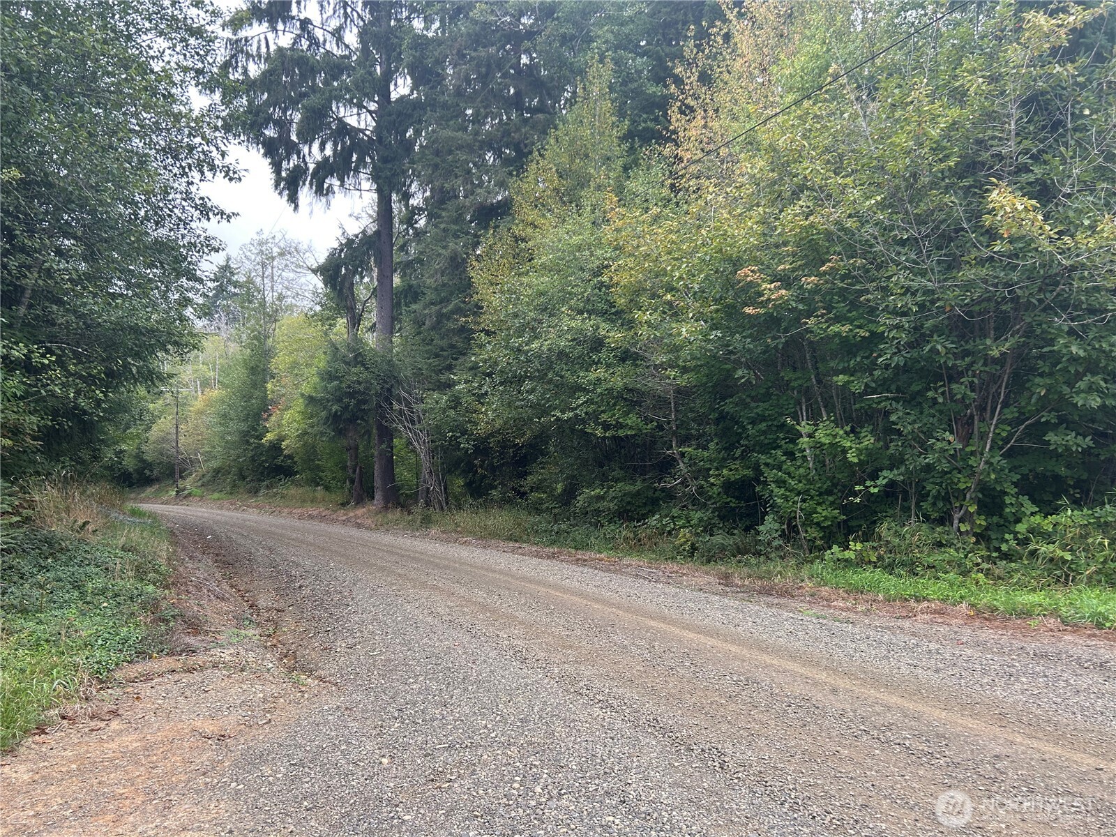 360 Mudgett Mountain Road Montesano, WA 98563 - Photo 13 of 14 Gallery Image 13
