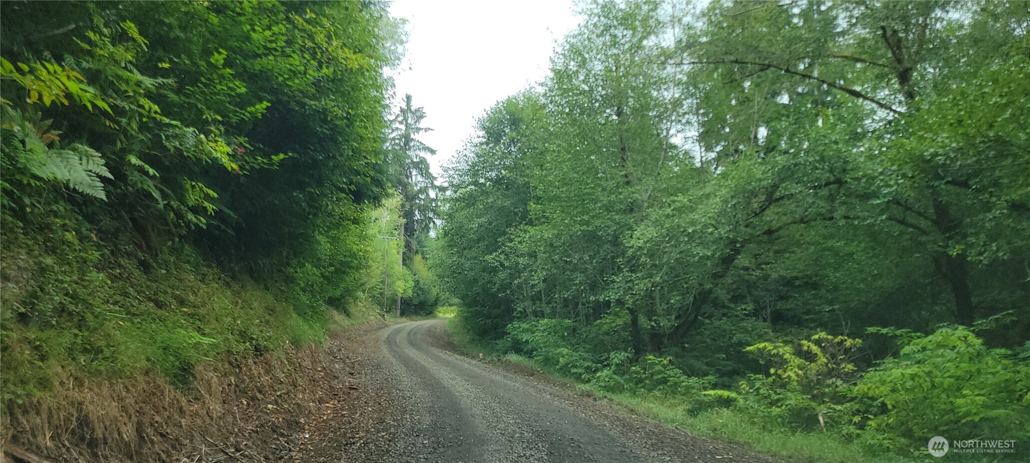 360 Mudgett Mountain Road Montesano, WA 98563 - Photo 8 of 14 Gallery Image 8