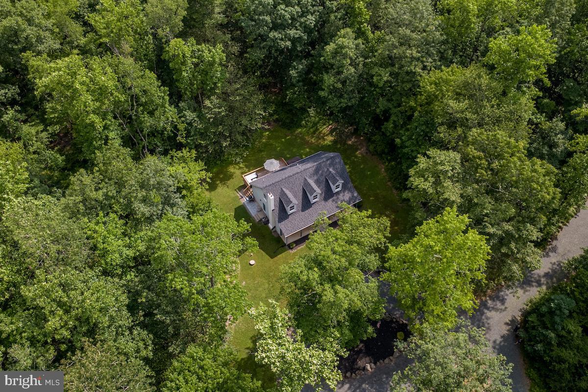 1505 Lonely Cottage Road Upper Black Eddy, PA 18972 - Photo 7 of 7