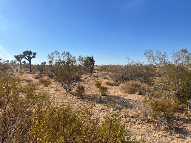 5202 La Mesa Road Phelan, CA 92371 - Photo 14 of 14