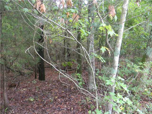 0 Chicken Bridge Road, Unit B Pittsboro, NC 27312 - Photo 1 of 3 Nice wooded lot.