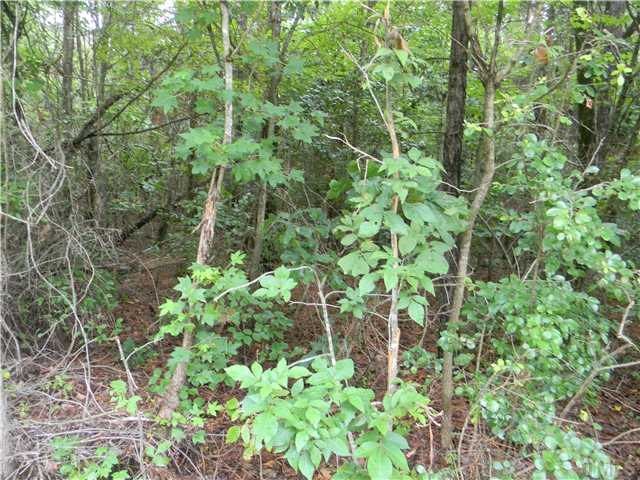 0 Chicken Bridge Road, Unit B Pittsboro, NC 27312 - Photo 3 of 3 Additonal view of this beautiful wooded lot.