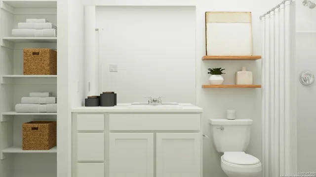 a bathroom with a toilet a sink and mirror