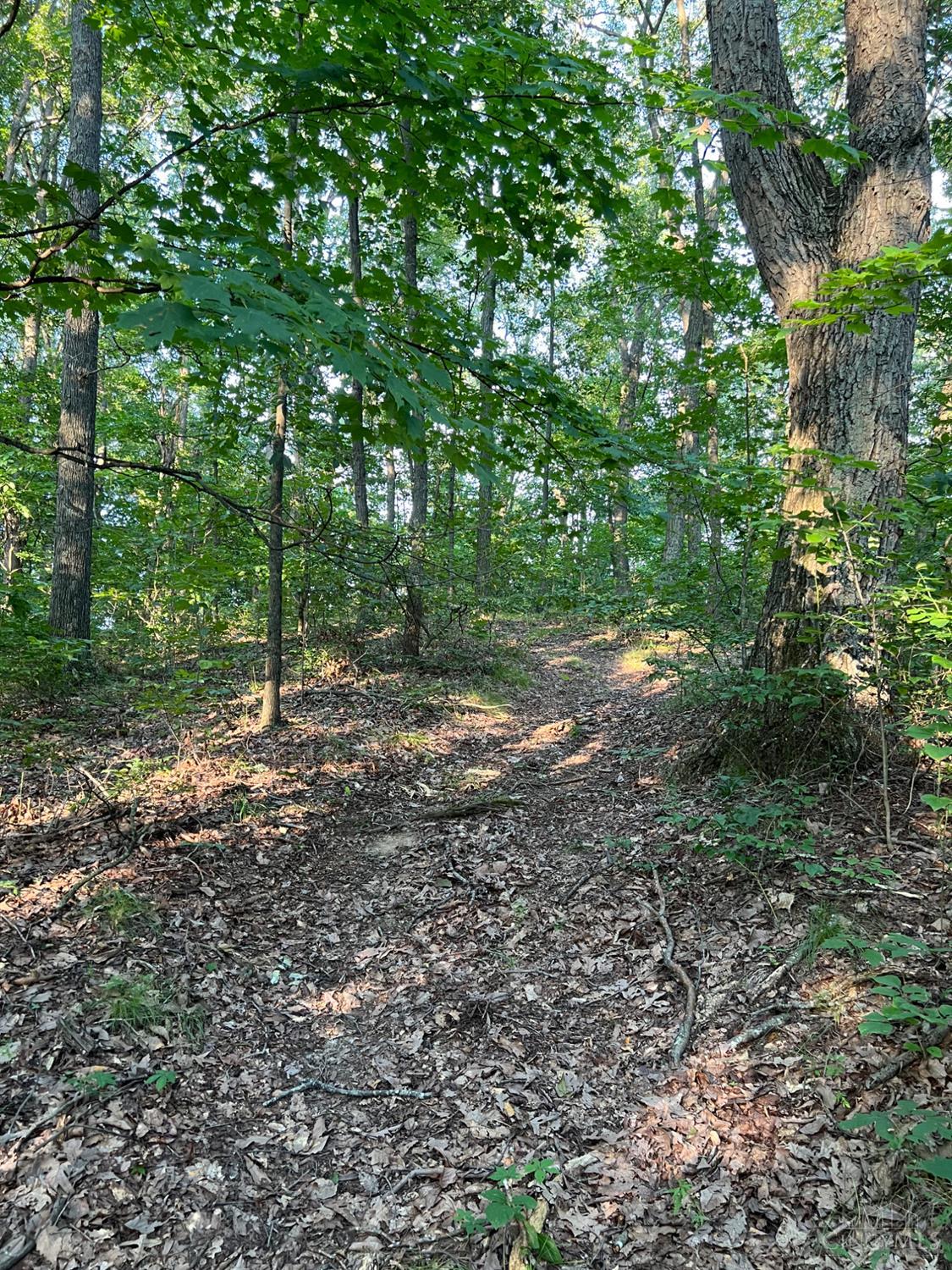 0 Tabernacle Road Chillicothe, OH 45601 - Photo 51 of 64