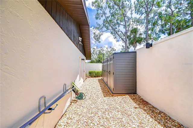 a view of backyard with tree