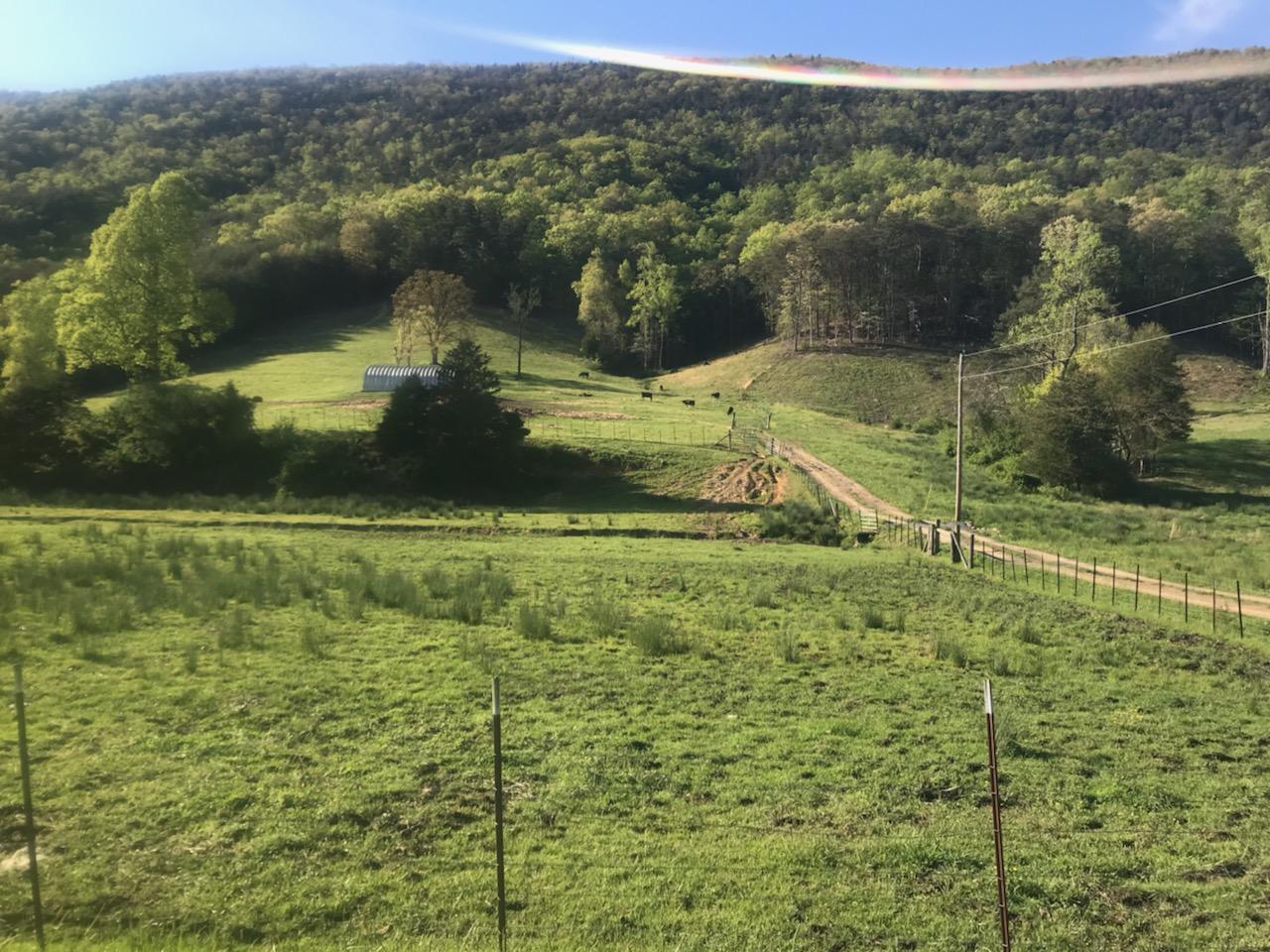 1431 Avondale Springs Rutledge, TN 37861 - Photo 1 of 10 29521