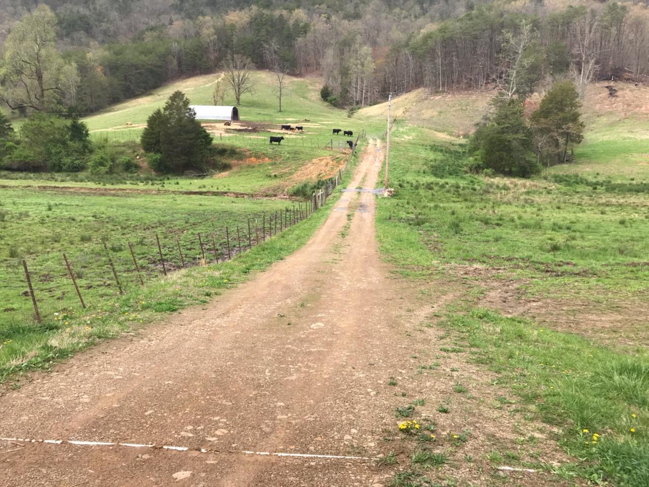 1431 Avondale Springs Rutledge, TN 37861 - Photo 3 of 10 29470
