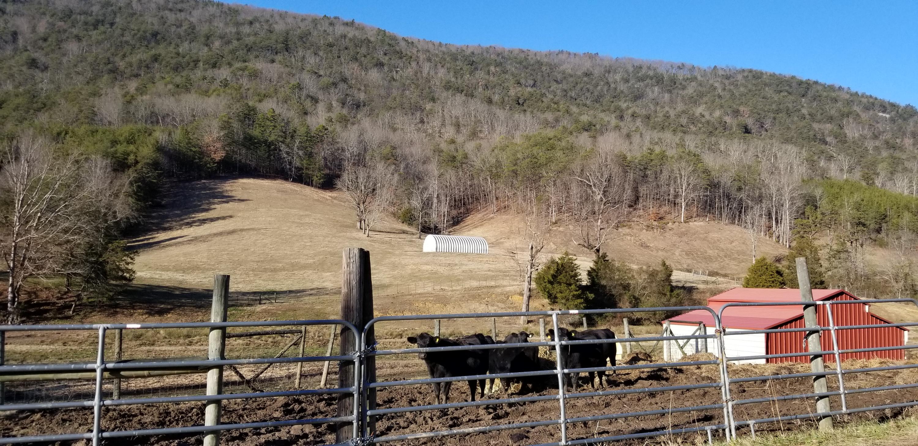 1431 Avondale Springs Rutledge, TN 37861 - Photo 5 of 10 20181226_152854