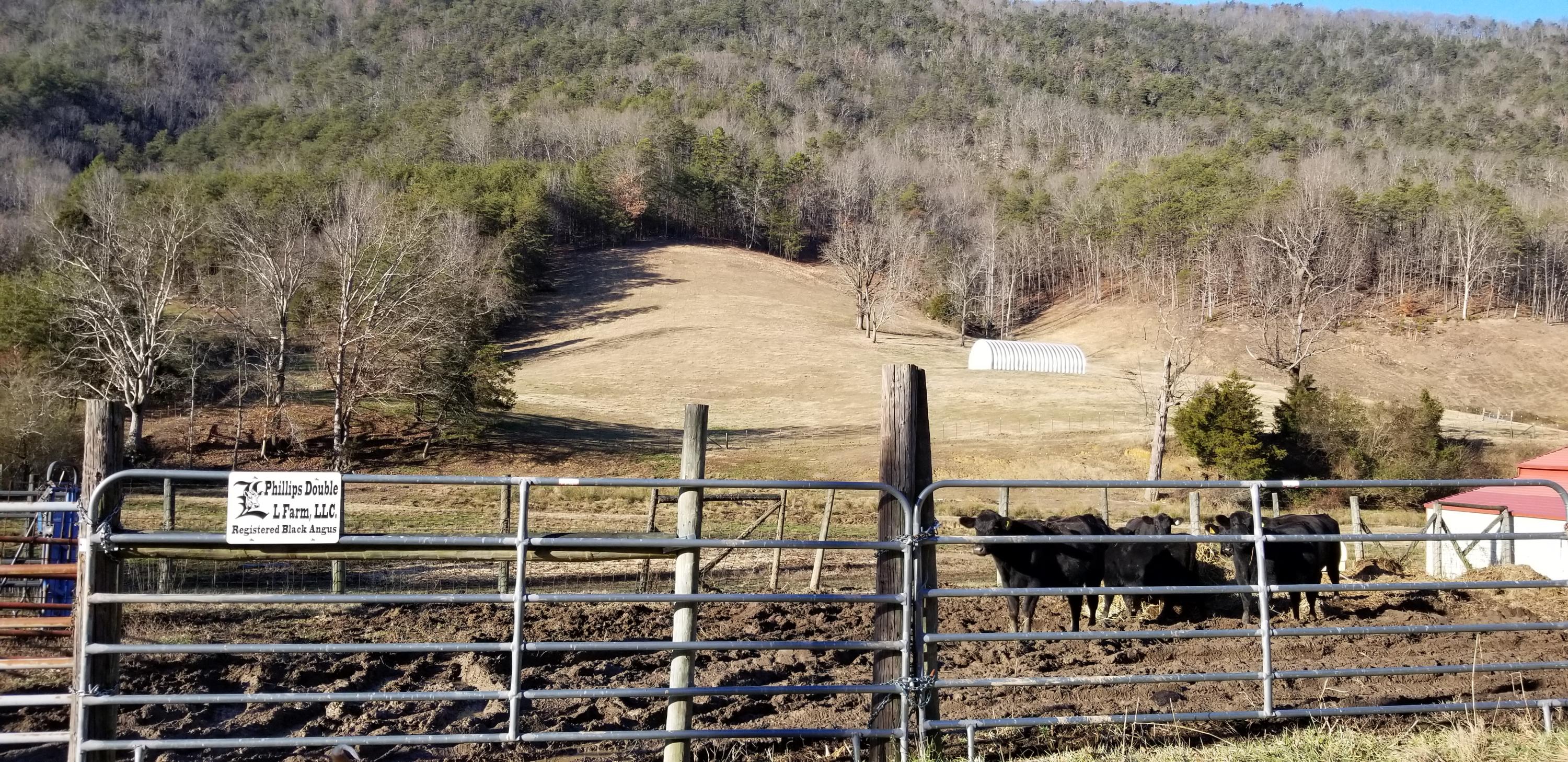 1431 Avondale Springs Rutledge, TN 37861 - Photo 6 of 10 20181226_152848