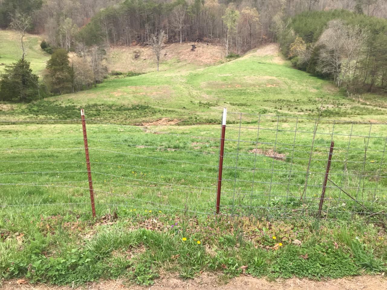 1431 Avondale Springs Rutledge, TN 37861 - Photo 8 of 10 29468