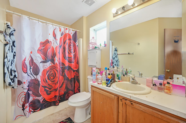 245 Heather Court Romeoville, IL 60446 - Photo 11 of 23 Gallery Image 11