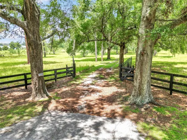 a view of a yard with a tree
